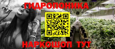 каннабис Будённовск