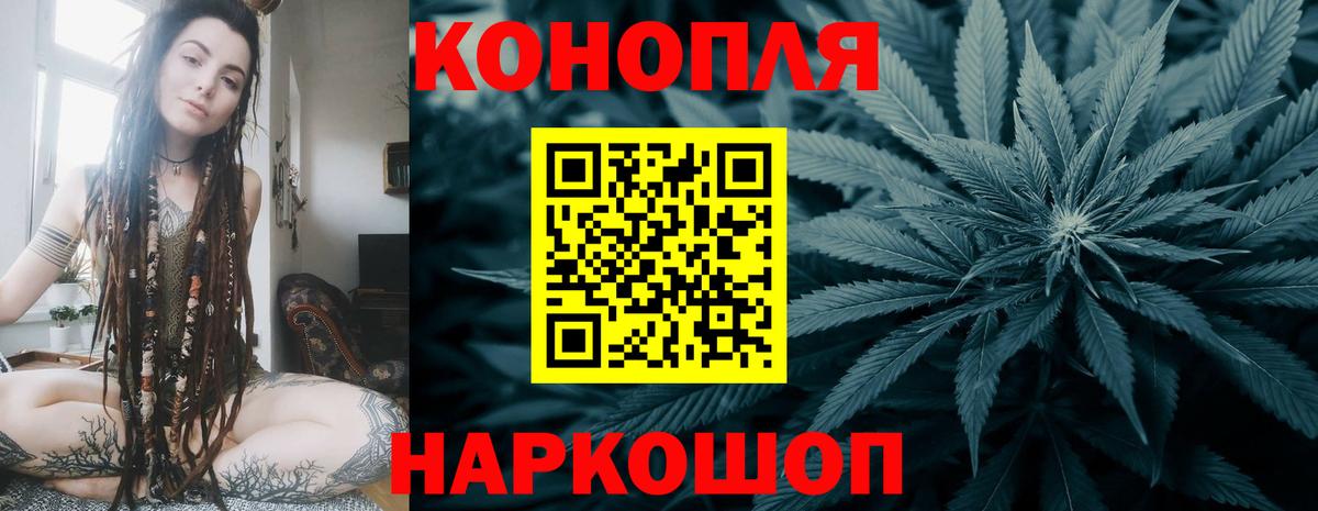 Конопля планчик Прохладный